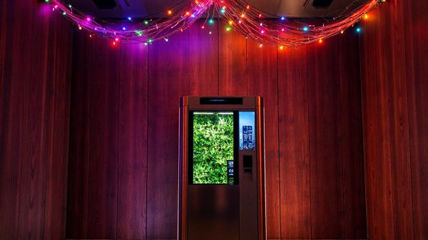 Découvrez les meilleures options de photobooth à Nantes